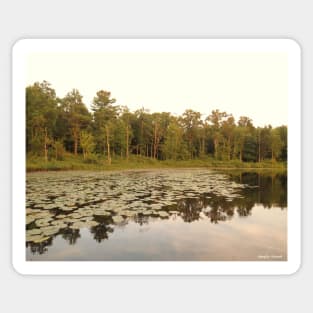 Water Lilies - Green - Frontenac Provincial Park Sticker